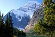 开云体育官方网站-中国乒乓球队完胜英国乒乓球队，樊振东完成帽子戏法