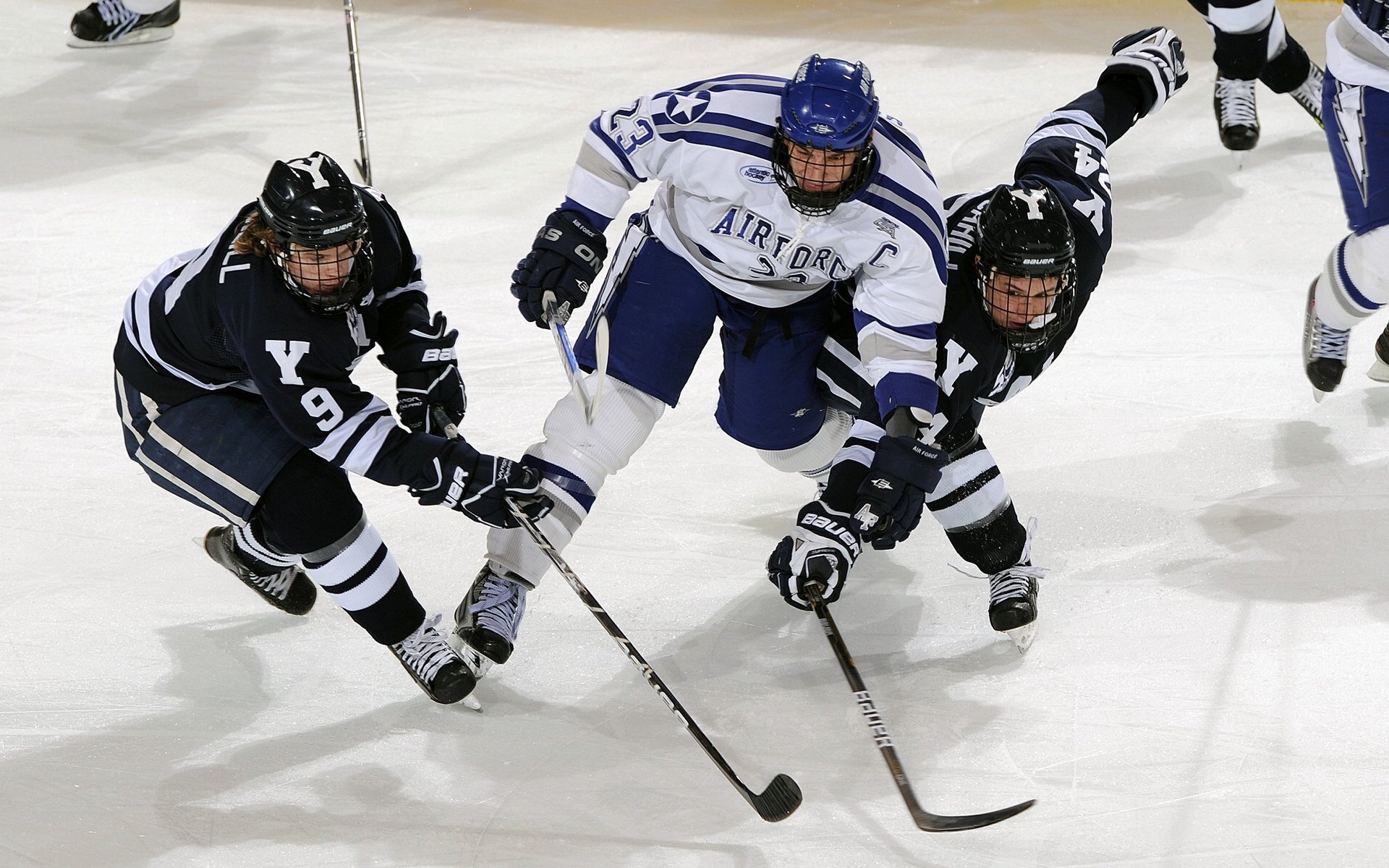 开云体育登录-黄蜂群起蛰鹈鹕，锡安逆境化身关键先生